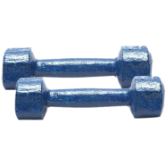 Sports House Dumbbell - 10 kg - Navy Blue Combo Pack