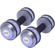 Sports House Silver Colour Dumbbell 3 kg - 1 Pair