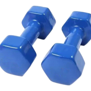 Sports House Vinyl Dumbbell-1 Pair - 10 kg