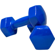 Sports House Vinyl Dumbbell 2 Pcs - 4kg