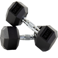 Sports and Fitness 12.5kg Hex Dumbbell 2 Pcs 