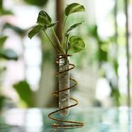 Spring Metal Stand With Test Tube Golden Pothos (Money Plant) - 621
