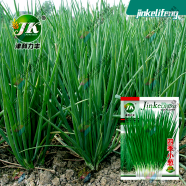 Spring Onion Seeds - 0.1gm