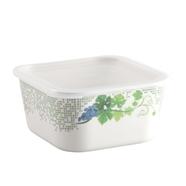 Square Container Snowdrop- 6 Inch - 899273