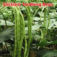 Naomi Seed Stickless Yardlong Bean - 10 gm