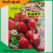 Strawberry Seeds- Red Strawberry