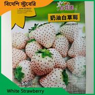Strawberry Seeds- White Strawberry