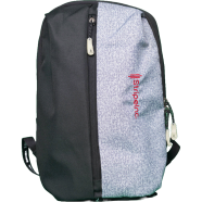 Stripelnc Exclusive Travel Backpack - Black And Grey