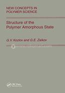 Structure of the Polymer Amorphous State