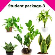 Brikkho Hat Student Package-3 - 601
