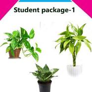 Brikkho Hat Student package 1 - 598