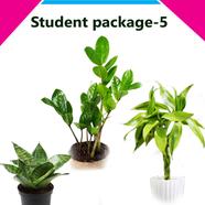 Brikkho Hat Student package 5 - 600