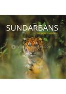 Sundarban image