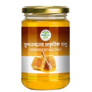 Rokomari Food Sundarban Natural Honey (সুন্দরবনের প্রাকৃতিক মধু) - 250 gm image