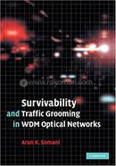 Survivability and Traffic Grooming in WDM Optical Networks