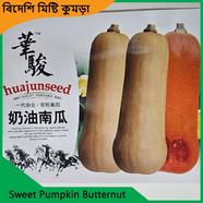 Sweet Kumra Seeds- Sweet Pumpkin Butternut