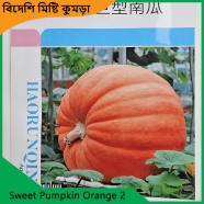 Sweet Kumra Seeds- Sweet Pumpkin Orange 2