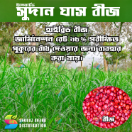 Sweet Sudan's Hybrid Grass Seeds (10g): Cultivate Lush Greenery With Ease - Your Unique Choice For Creating A Vibrant And Healthy Garden