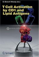 T Cell Activation by CD1 and Lipid Antigens