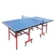 Table Tennis In Red And Blue - N201