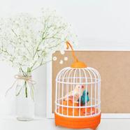 Talking Bird Kids Toy