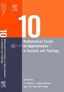 Ten Mathematical Essays on Approximation in Analysis and Topology