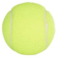 Tennis Ball Lime - Natural Rubber