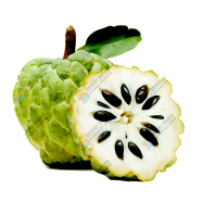 Thai Hybrid Giant Sugar Apple Seeds Re-Pack - 5pcs