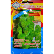 Thailand Brussels Sprout Cabbage Seed Intact Pack