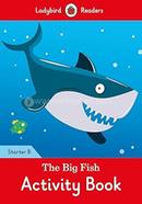 The Big Fish Activity Book :Starter B