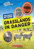 The Earth at Risk: Grasslands in Danger