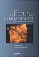 The Fetus in Three Dimensions