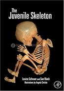 The Juvenile Skeleton
