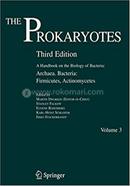 The Prokaryotes - Archaea. Bacteria: Firmicutes, Actinomycetes, Volume-3