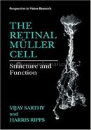 The Retinal Muller Cell