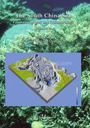 The South China Sea: Paleoceanography and Sedimentology: 13 (Developments in Paleoenvironmental Research)