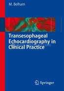 Transesophageal Echocardiography in Clinical Practice