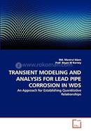 Transient Modeling and Analysis for Lead Pipe Corrosion in Wds