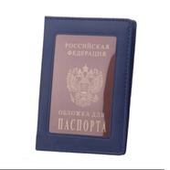 Transparent Passport Holder