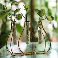 Tres Pitcher Shape Metal Stand With Test Tube Manjula Pothos x1, Lucky Bamboo (2 head), Golden Pothos x1 - 623