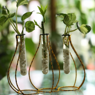 Tres Pitcher Shape Metal Stand With Test Tube Manjula Pothos x1, Lucky Bamboo (2 head), Golden Pothos x1 - 623