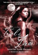 Trial by Fire: Book 2