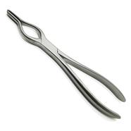 WALSHAM Stainless Steel Septum Forceps - 9 Inches