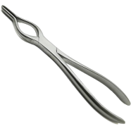 WALSHAM Stainless Steel Septum Forceps - 9 Inches