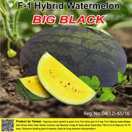 Naomi Seed Watermelon Big Black - 1 gm