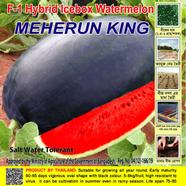 Naomi Seed Watermelon Meherun king - 1 gm