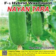 Naomi Seed Wax Gourd-Nayantara - 5 gm