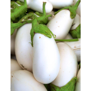 White Brinjal Seed 