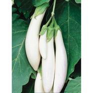 White Brinjal Seed Long 