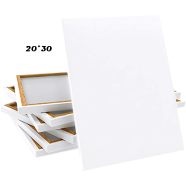 White Canvas 20x30 inch 1Pcs
